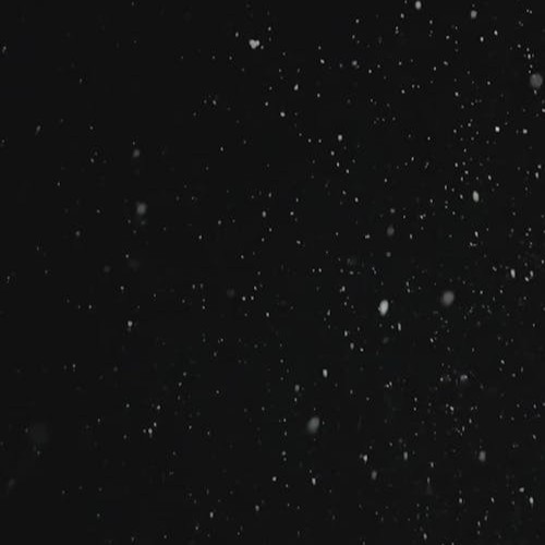 논검비무 아카데미에 입학했다